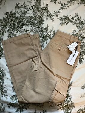 Aritzia Tna Cargo Pants